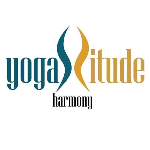 Photo: YOGAttitude - Aerial & Hatha Yoga Studio